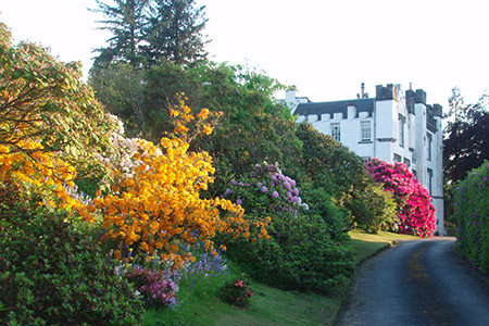 House and Garden