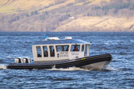 Loch Tay Safaris